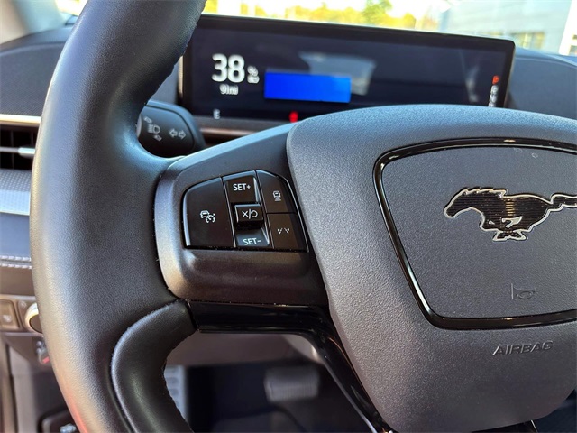 2021 Ford Mustang Mach-E Select photo 19