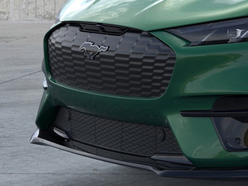 2025 Ford Mustang Mach-E GT photo 15
