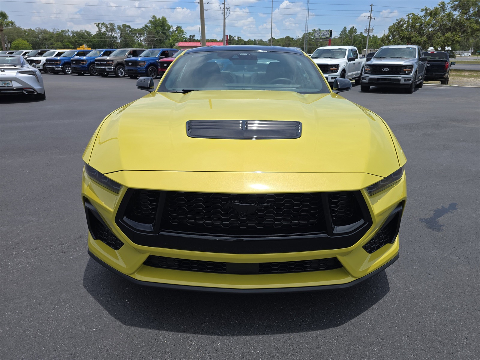 2025 Ford Mustang GT Premium photo 3