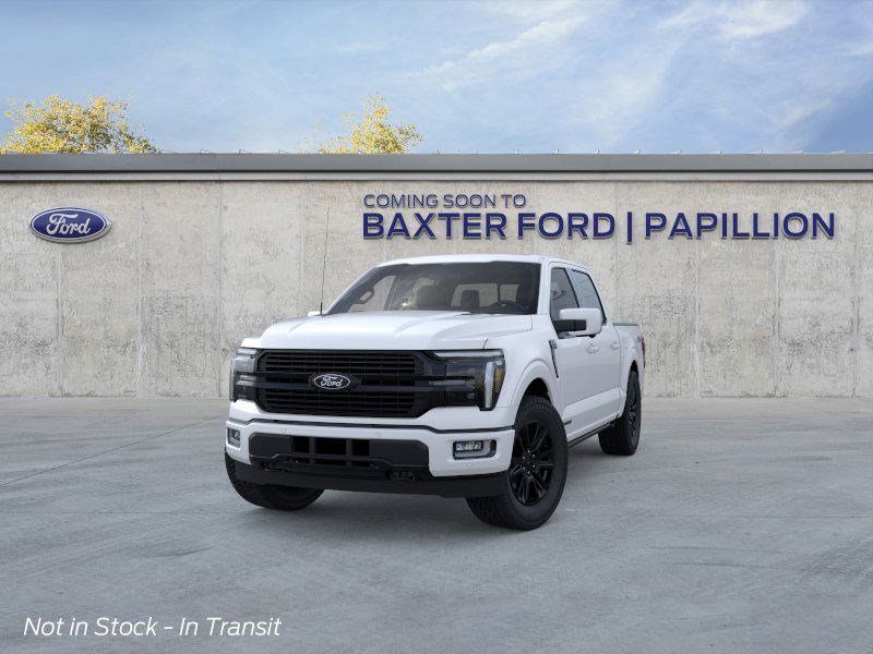 2025 Ford F-150 Platinum photo 14