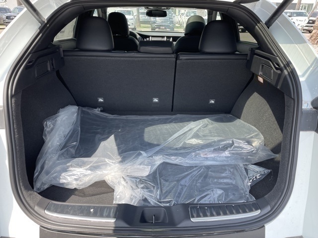 2023 Infiniti QX55 Sensory photo 6