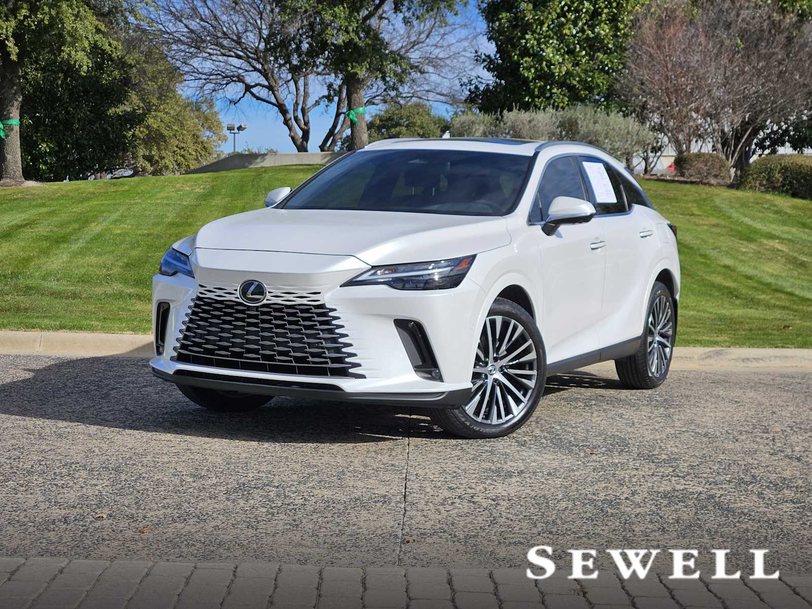 2024 Lexus RX 350's photo