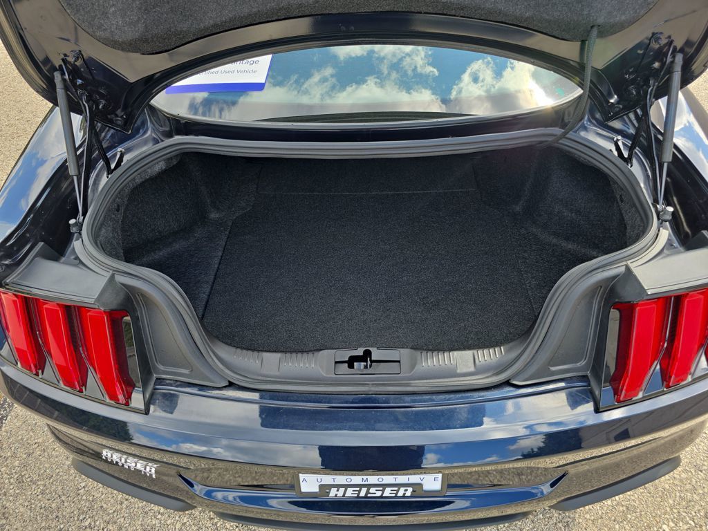2021 Ford Mustang GT photo 21