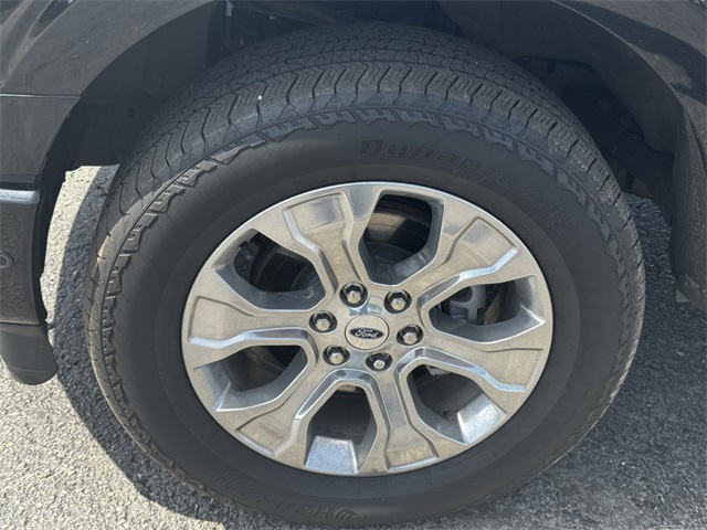 2021 Ford F-150 Platinum photo 9