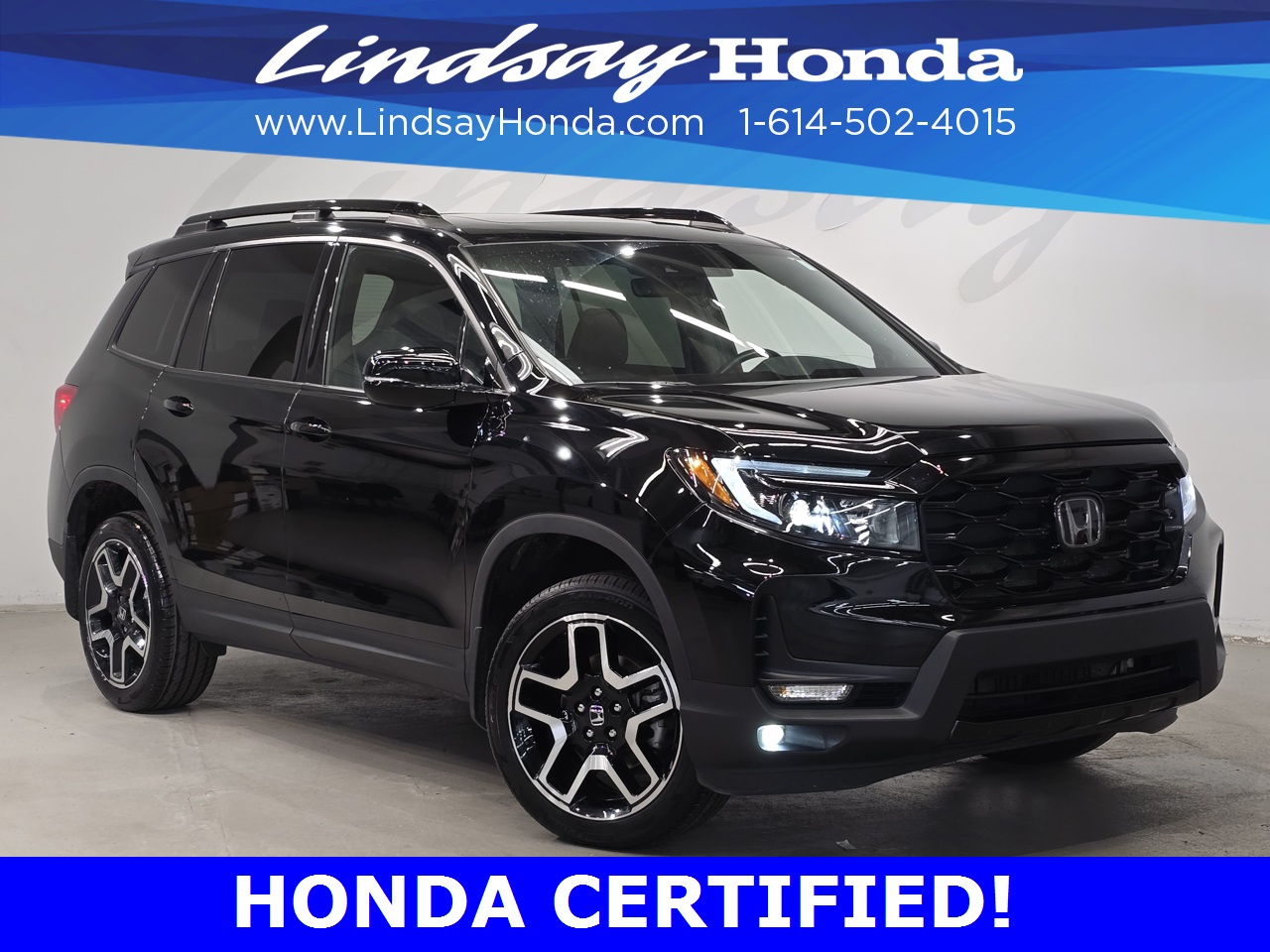 2023 Honda Passport Elite's photo