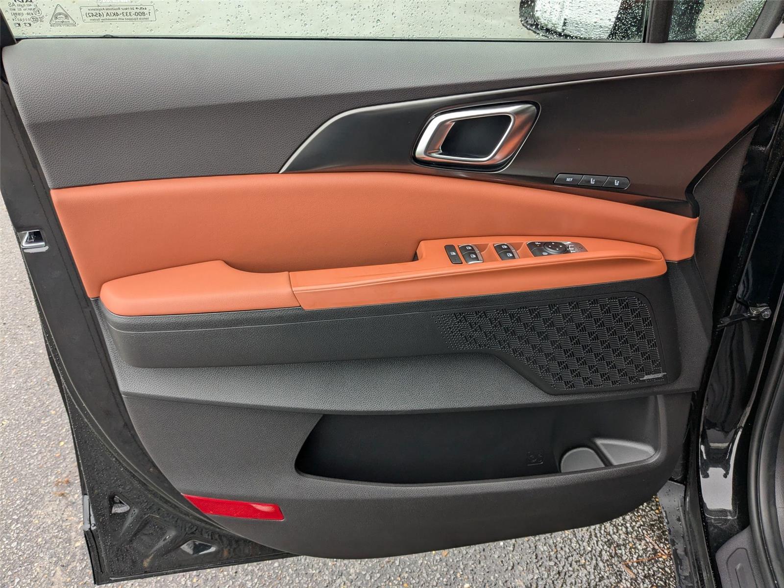 2025 Kia Carnival SX photo 9
