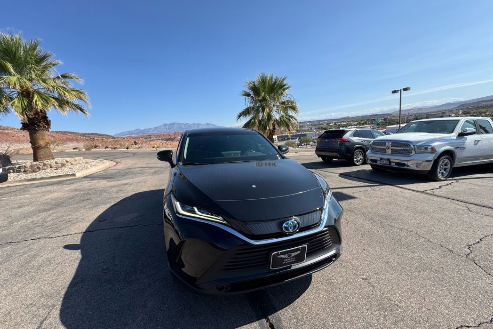 2024 Toyota Venza LE photo 7