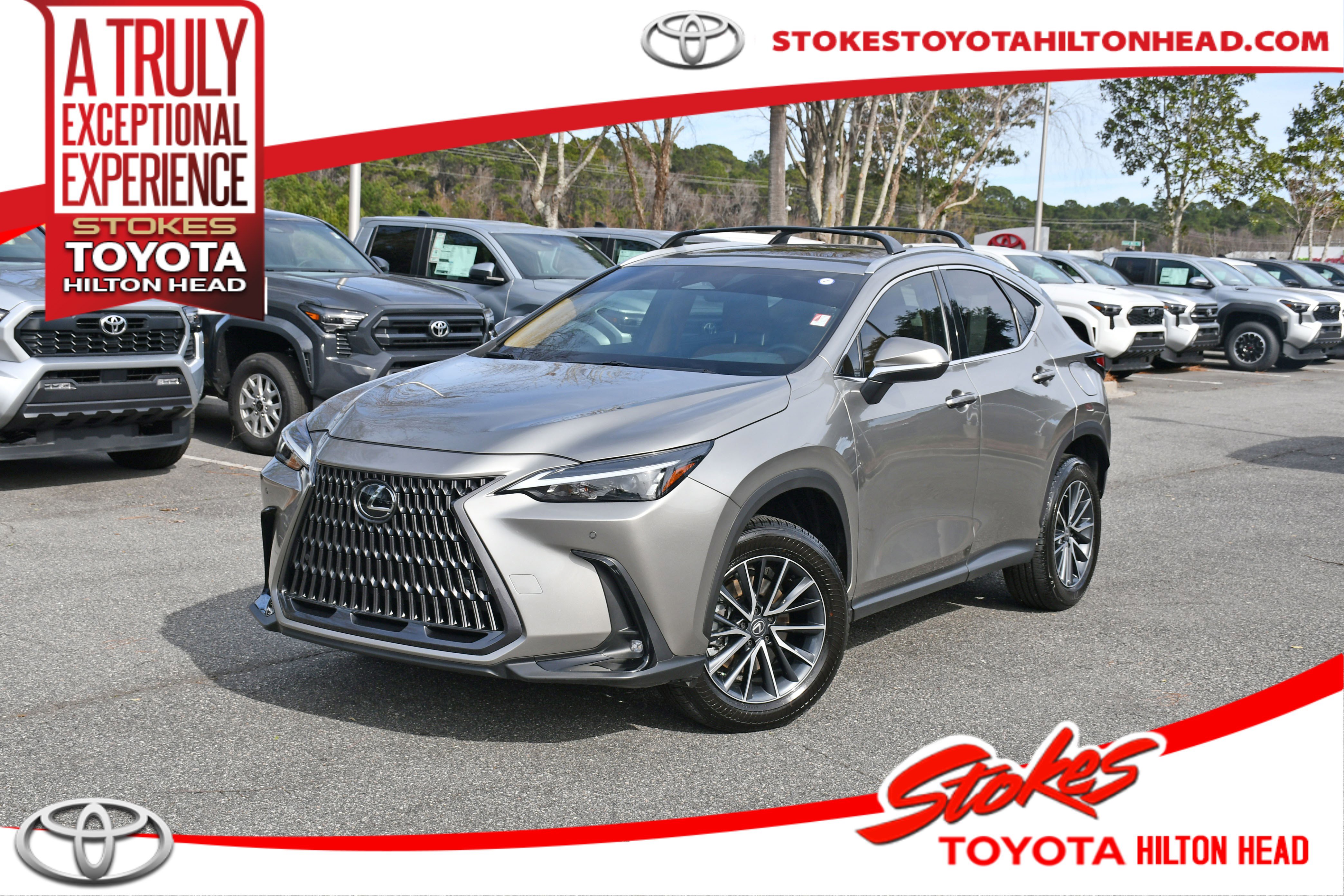 2025 Lexus NX Base's photo