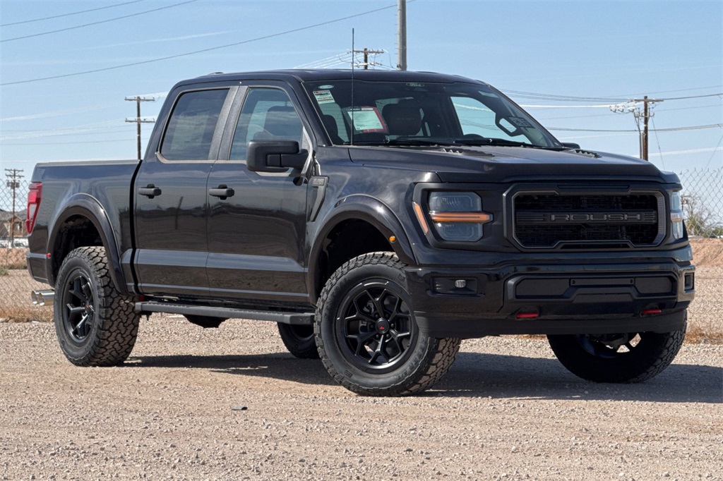2024 Ford F-150 STX photo 2