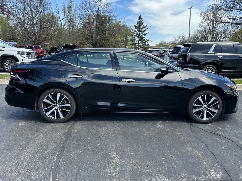 2023 Nissan Maxima SV photo 3