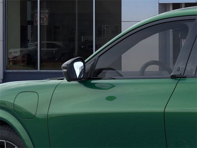 2025 Ford Mustang Mach-E Premium photo 19