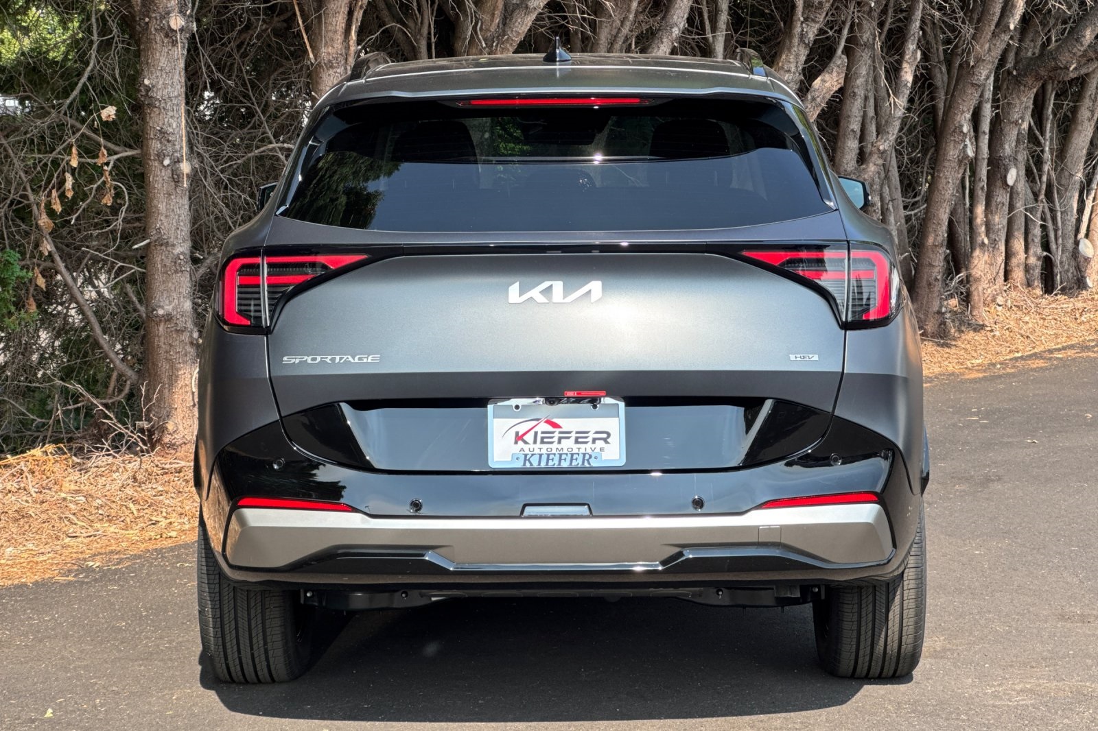 2026 Kia Sportage Hybrid SX Prestige photo 2