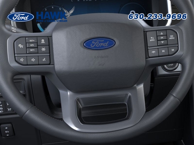 2025 FORD F-150 - Image 12