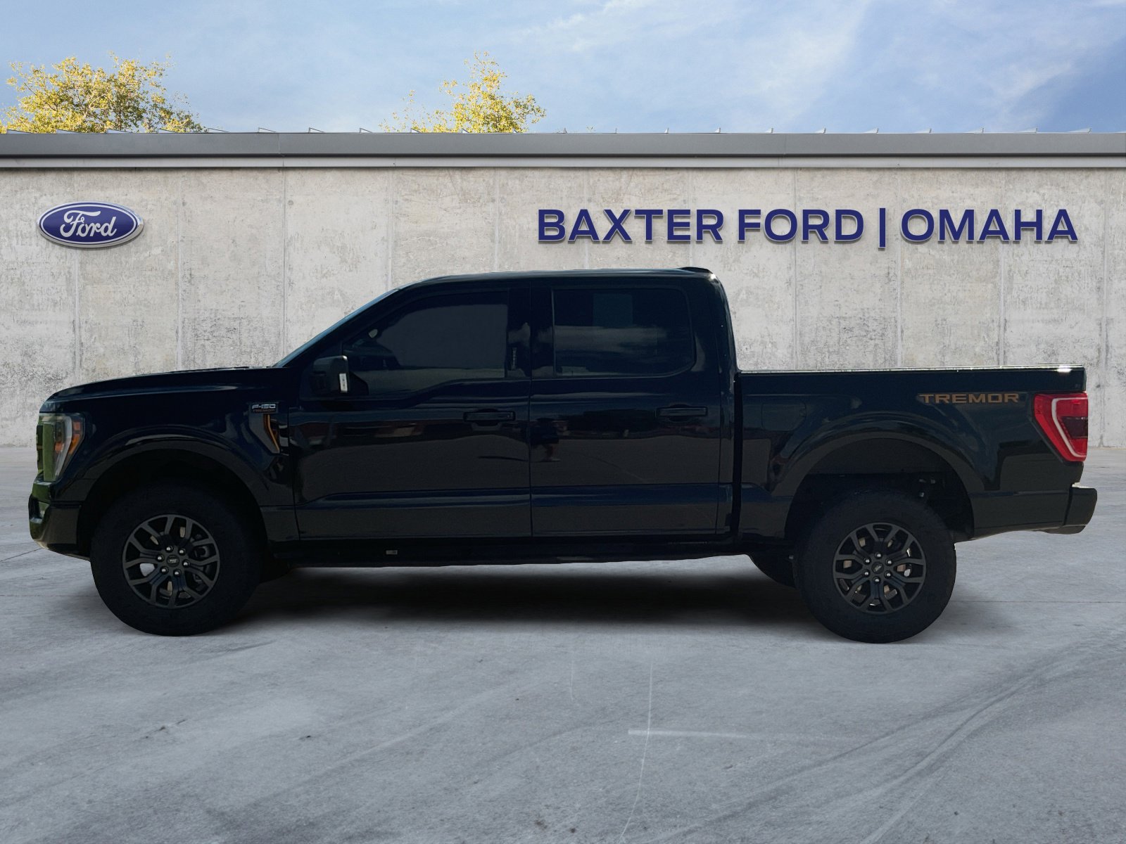 2021 Ford F-150 Tremor photo 4