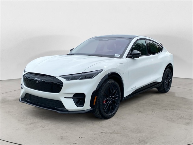 2025 Ford Mustang Mach-E Premium AWD's photo