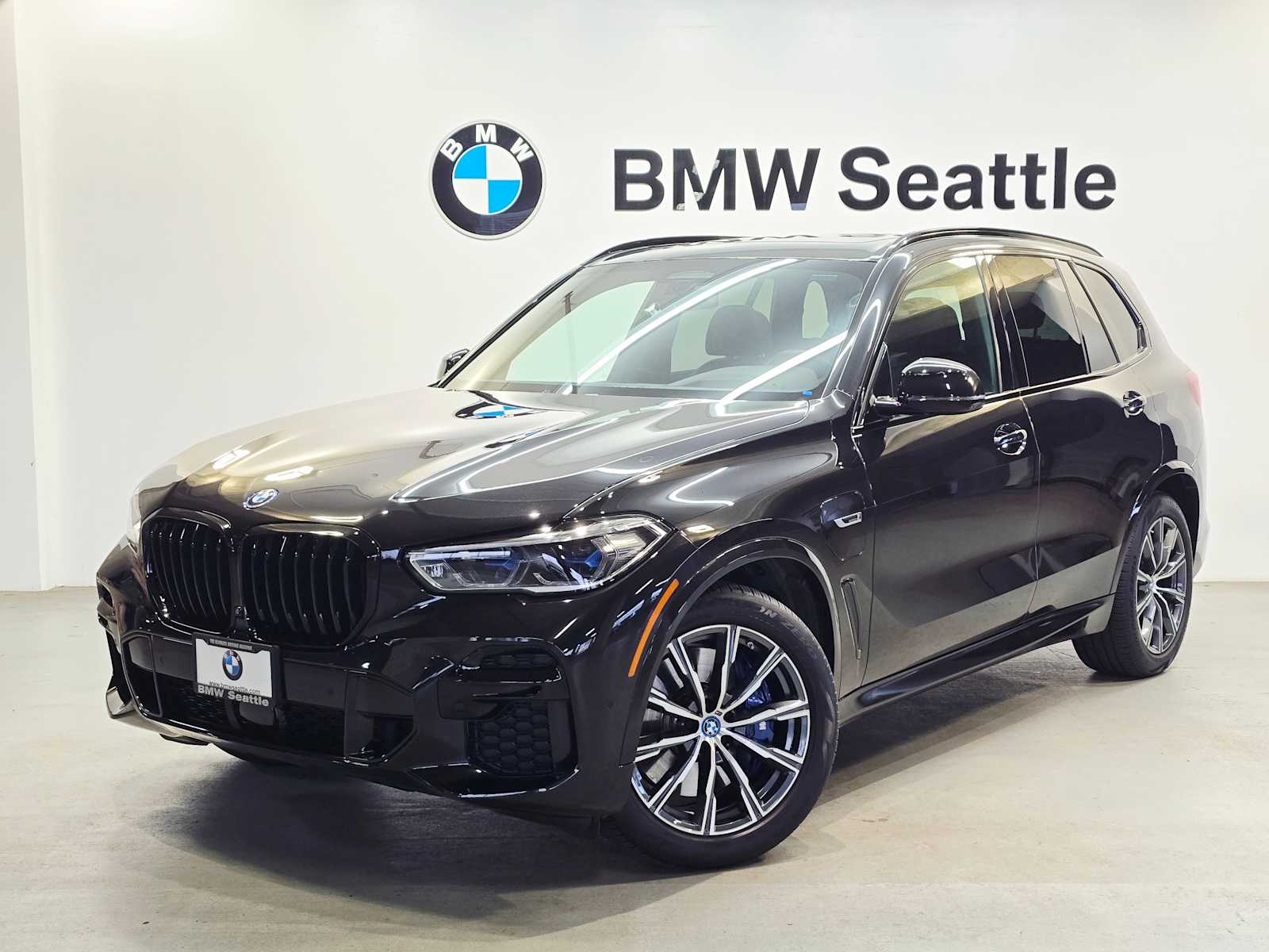 2023 BMW X5 45e's photo