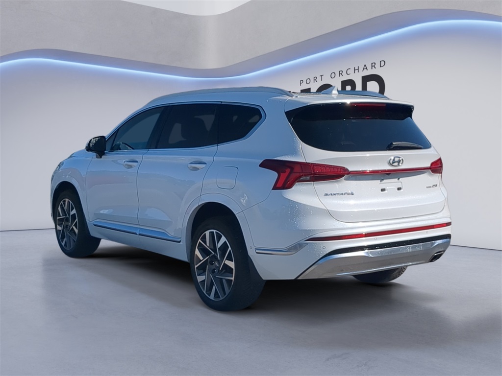 2021 Hyundai Santa Fe Calligraphy photo 2