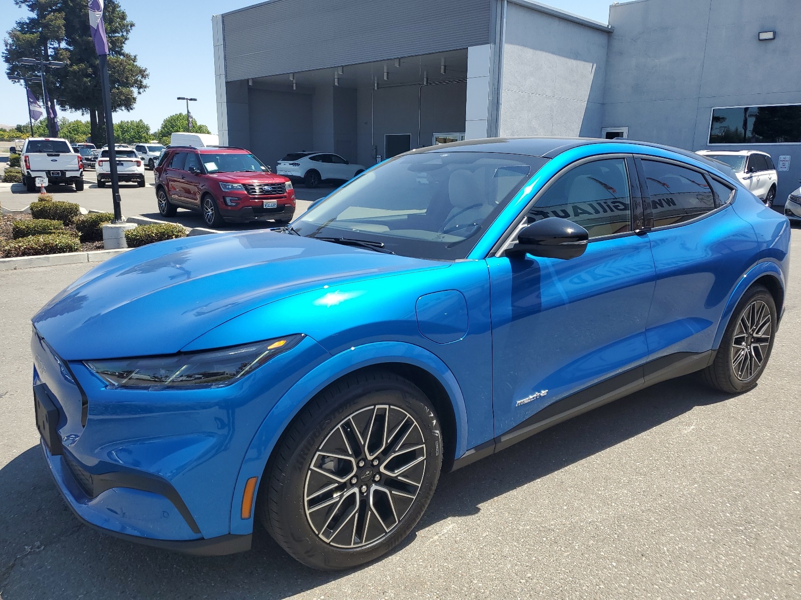 Used 2025 Ford Mustang Mach-E Premium RWD with VIN 3FMTK3R45SMA12056 for sale in Livermore, CA