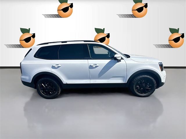 2025 Kia Telluride SX X-Line photo 8