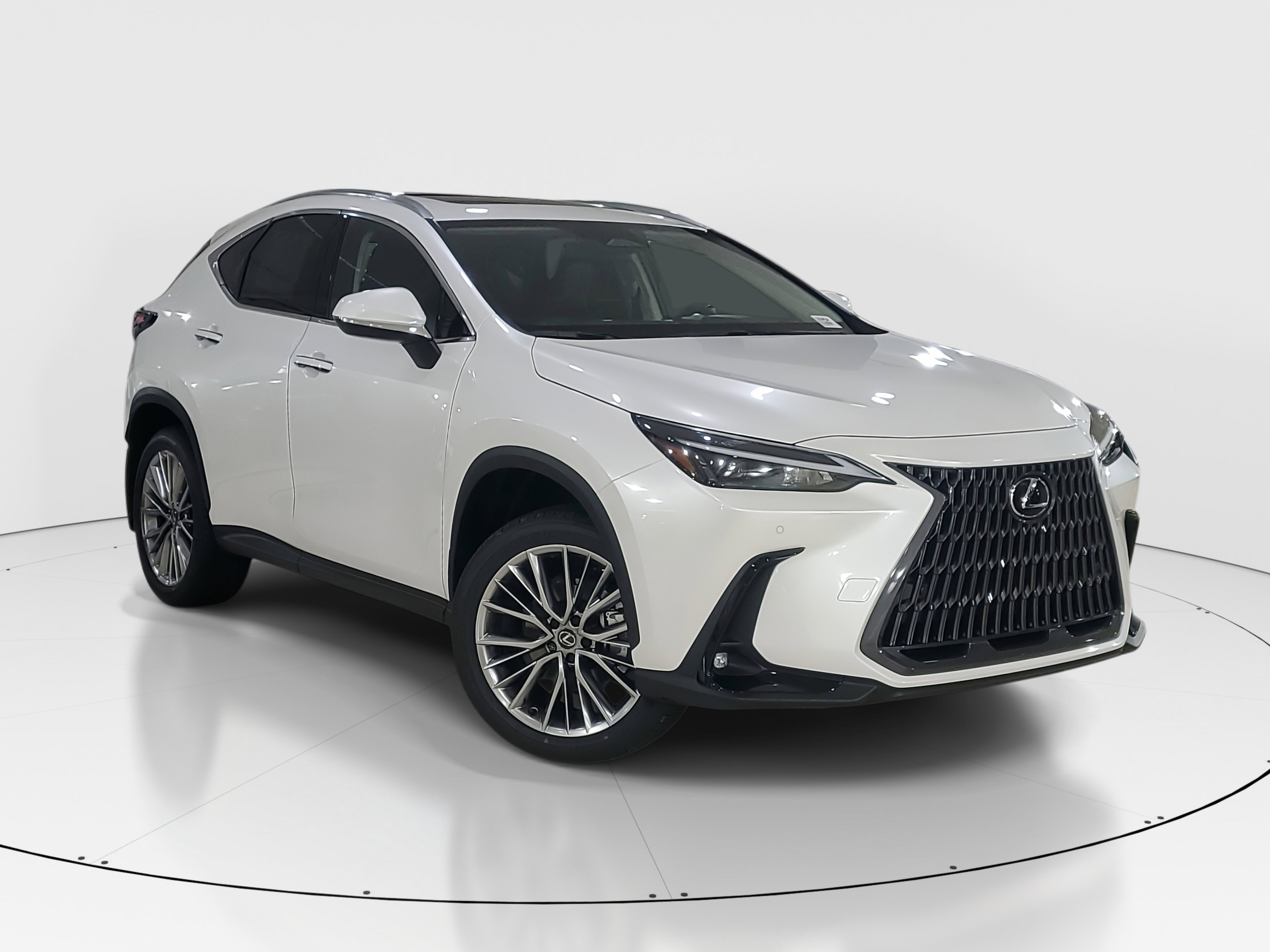 2025 Lexus NX Hybrid 350h's photo