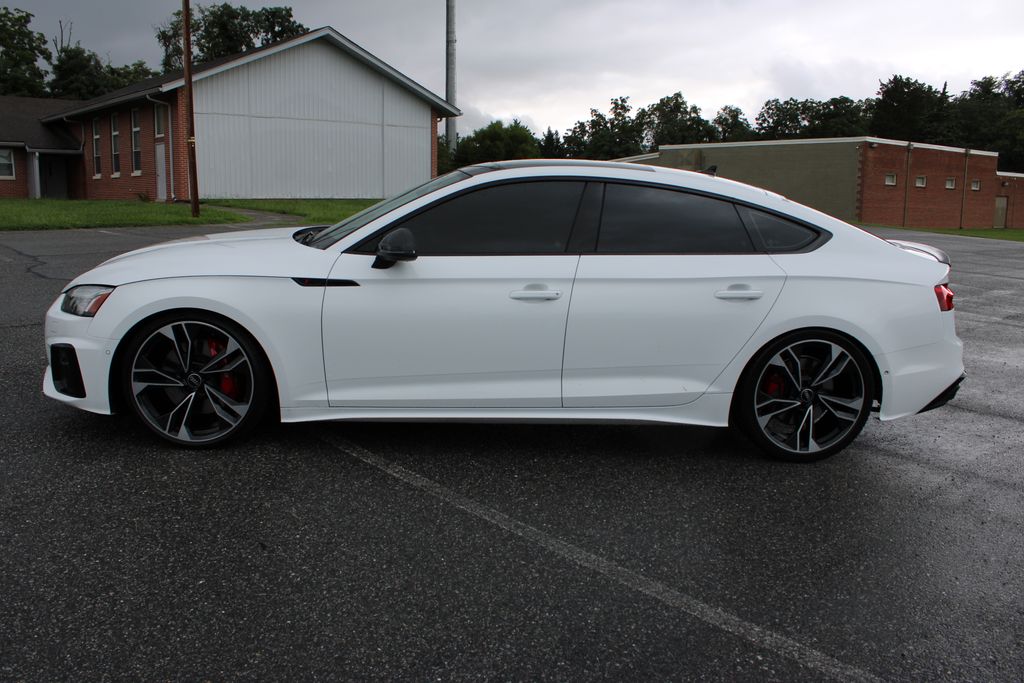 2023 Audi S5 Prestige photo 6
