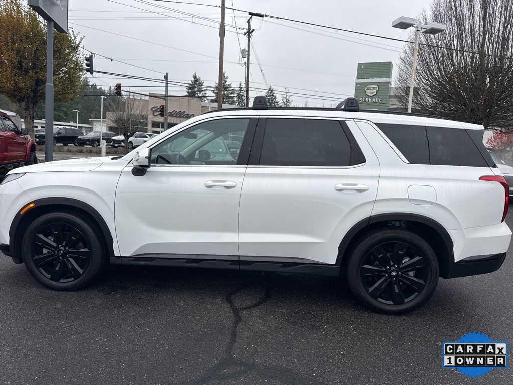 2025 Hyundai Palisade XRT photo 4