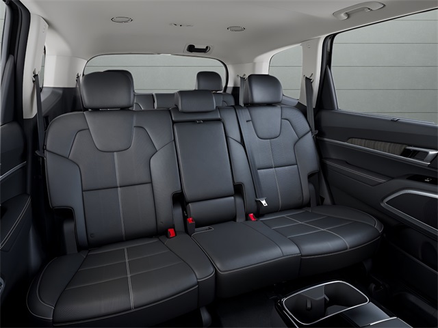 2025 Kia Telluride EX photo 14