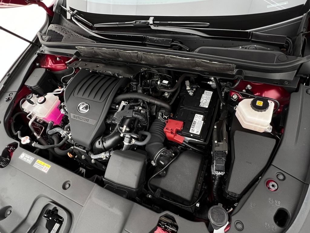 2023 Lexus RX 350 photo 29