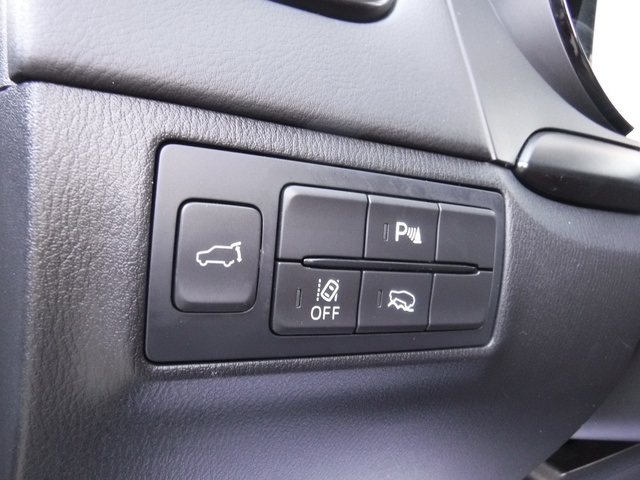 2022 Mazda CX-9 Carbon photo 13