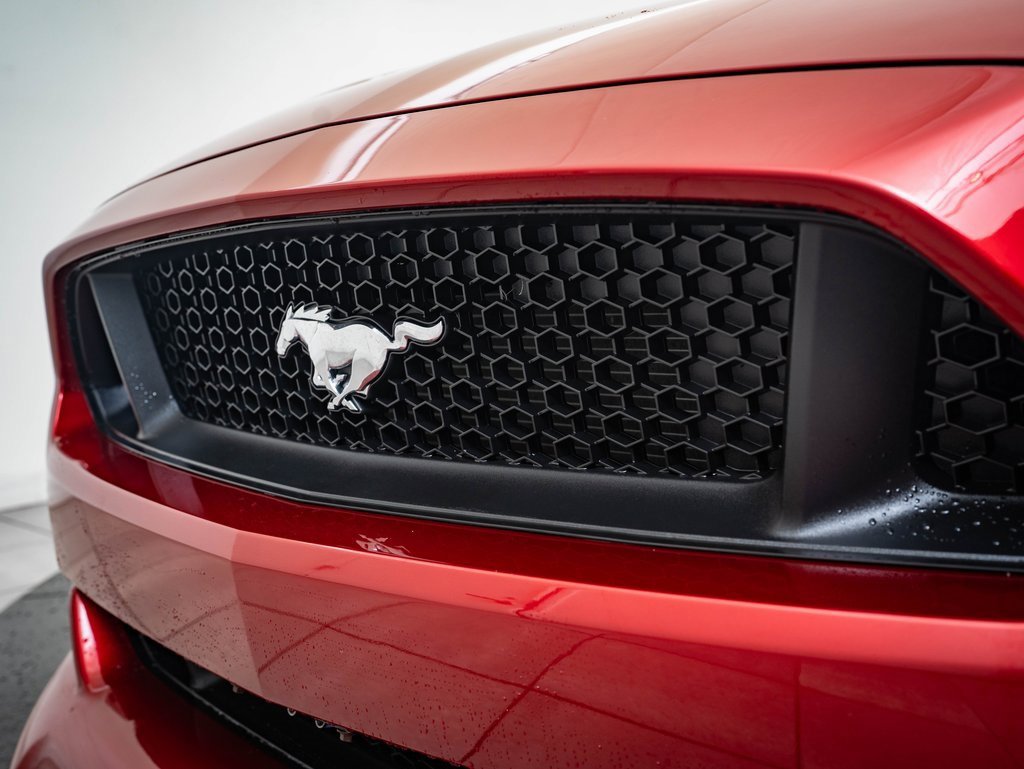 2015 Ford Mustang GT Premium photo 3