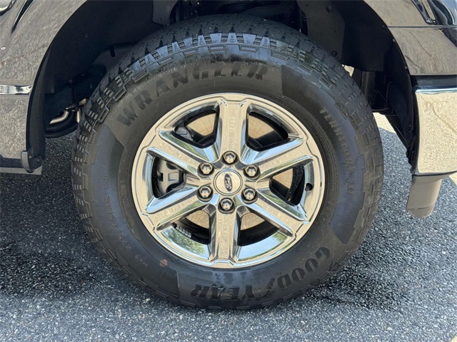 2024 Ford F-150 XLT photo 12