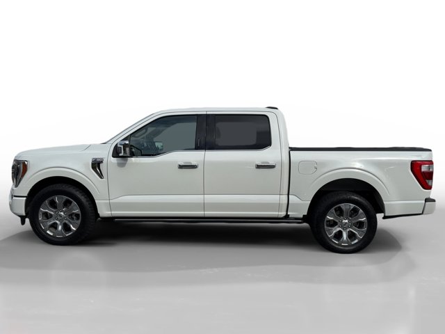 2021 Ford F-150 Platinum photo 2