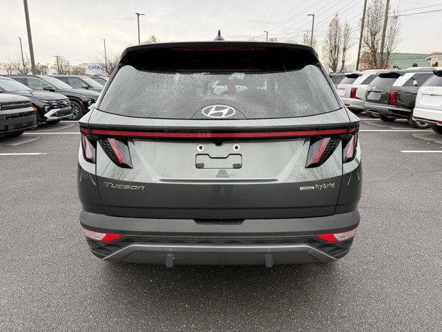 2023 Hyundai Tucson Hybrid Limited photo 3