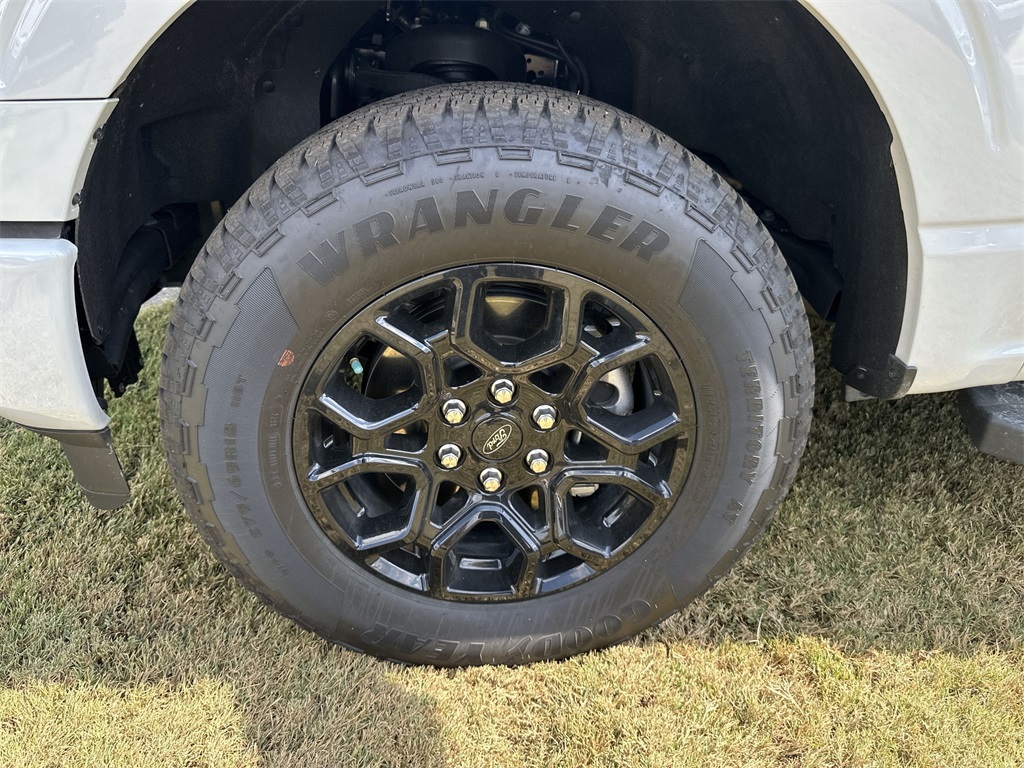 2024 Ford F-150 XLT photo 10