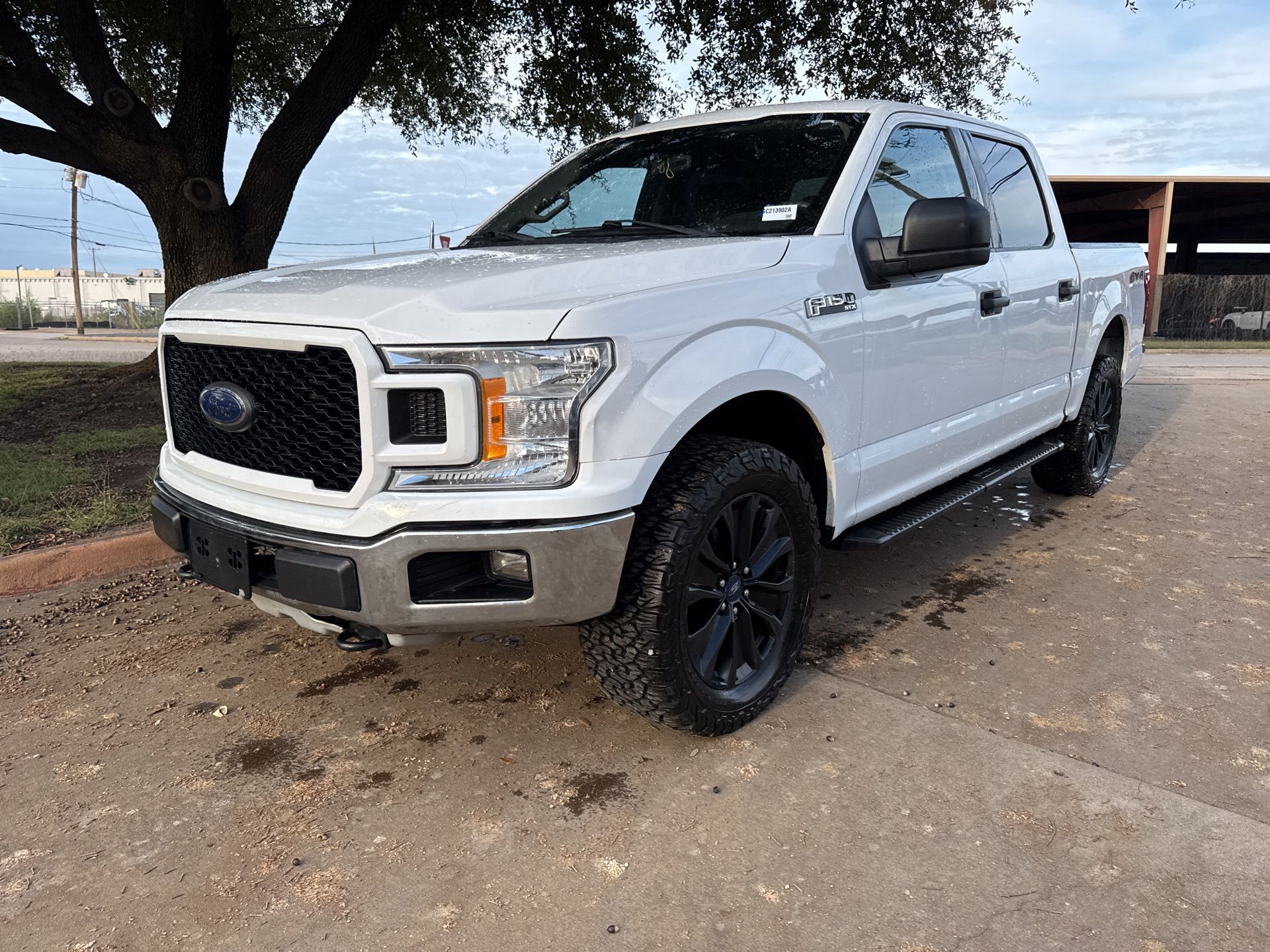 2020 Ford F-150 XL's photo