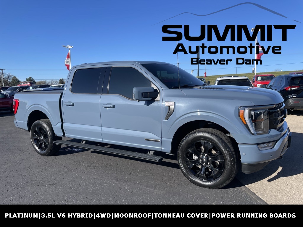 2023 Ford F-150 Platinum's photo