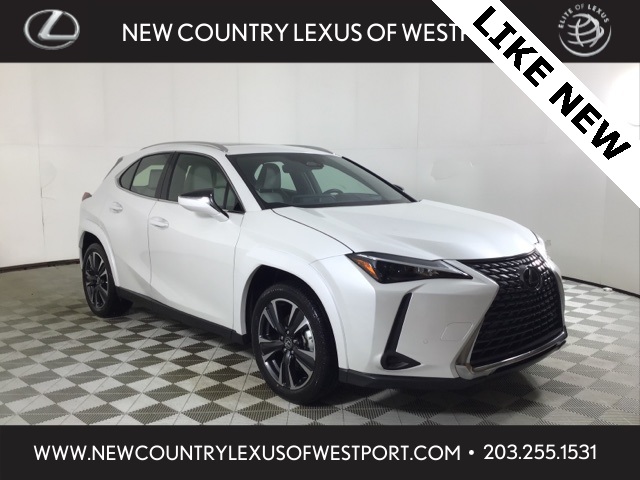 2025 Lexus UX Hybrid 300h Premium's photo