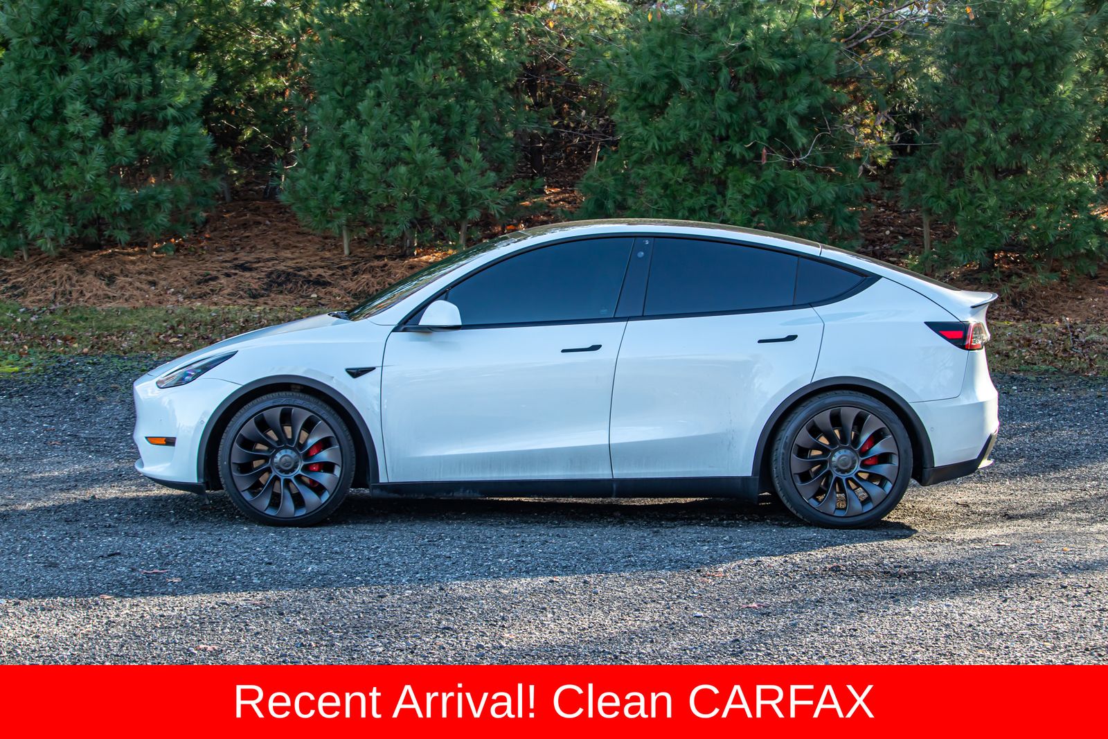 2021 Tesla Model Y Performance photo 4
