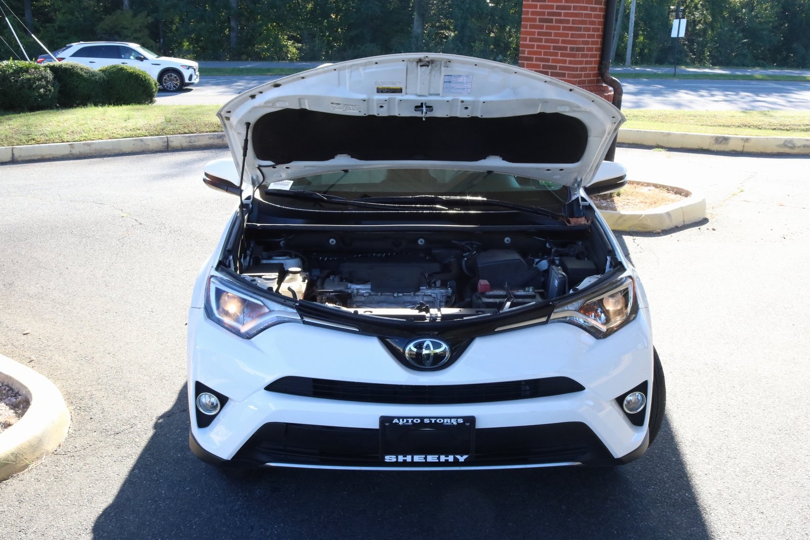 2017 Toyota RAV4 XLE photo 2