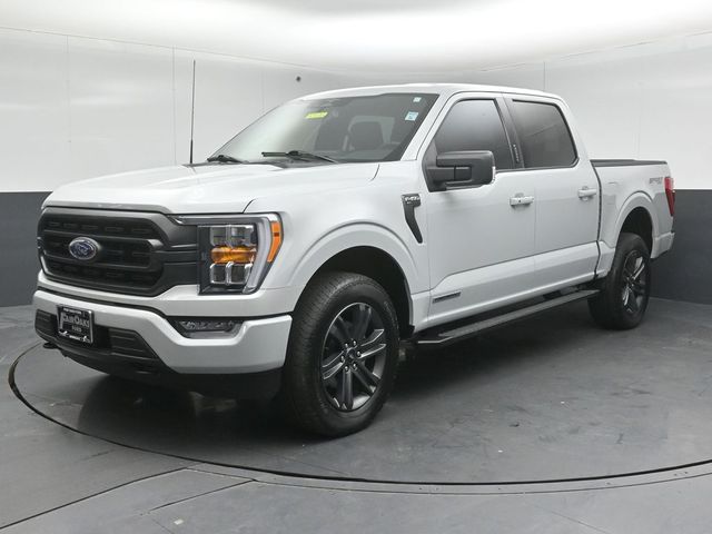 2023 FORD F-150 - Image 3