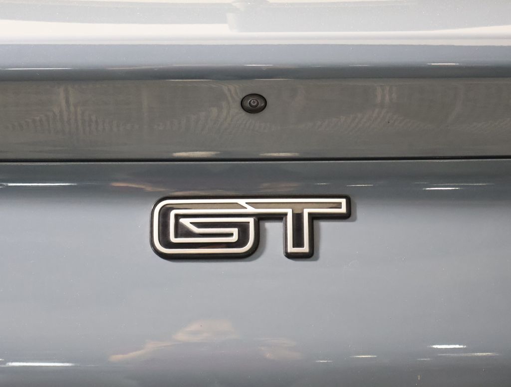2023 Ford Mustang Mach-E GT photo 14