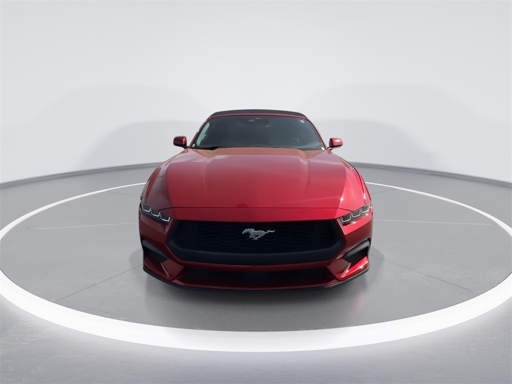 2024 Ford Mustang EcoBoost Convertible photo 3
