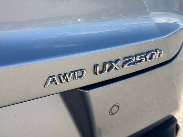 2024 Lexus UX 250h F SPORT Design photo 17