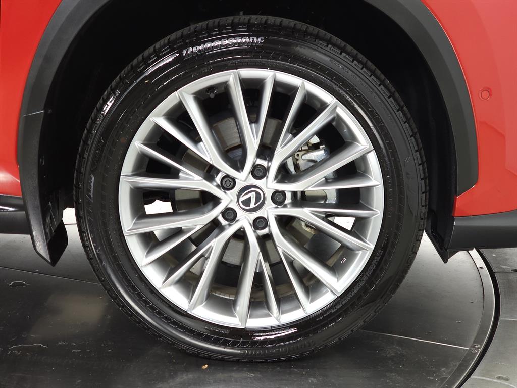 2025 Lexus NX 350h Luxury photo 11