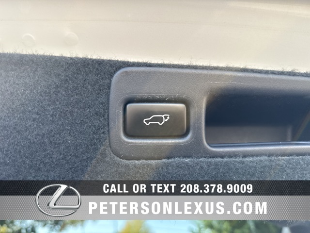 2015 Lexus RX 350 photo 15