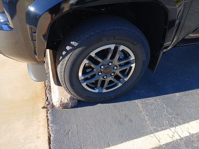 2024 Toyota Tacoma TRD Sport 4x4 photo 3