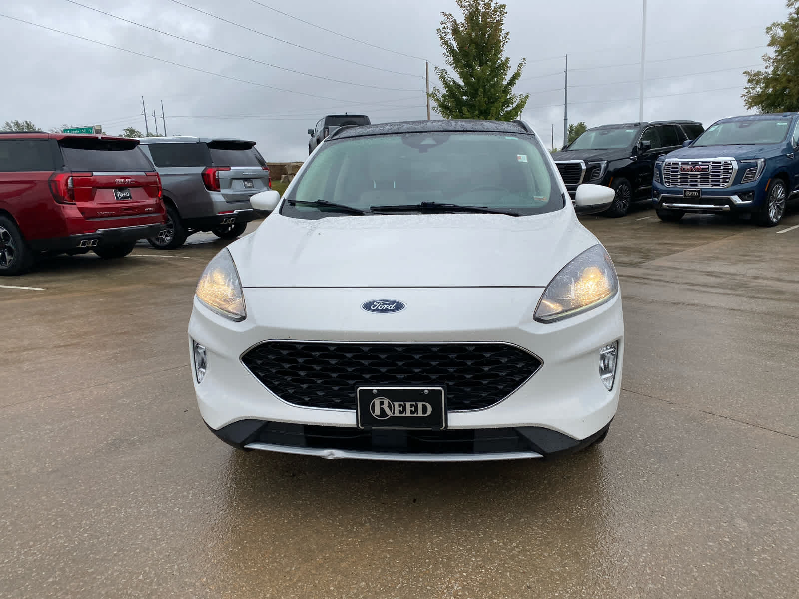 2020 Ford Escape SEL photo 3