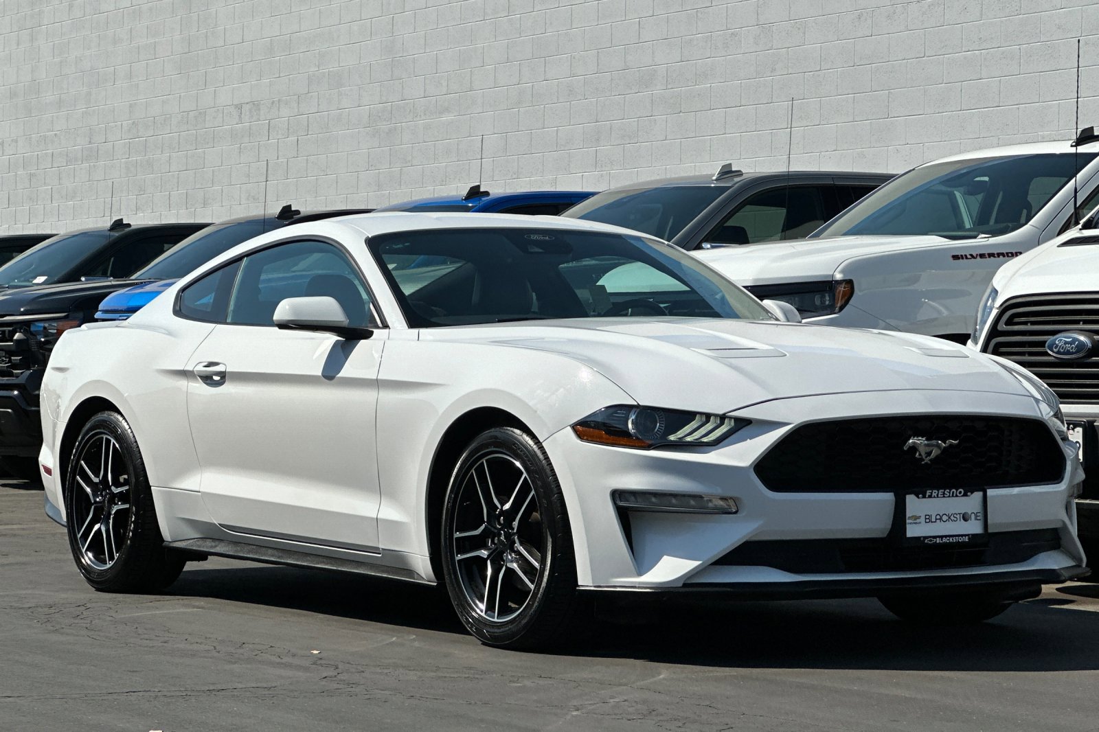 2023 Ford Mustang EcoBoost Premium photo 8