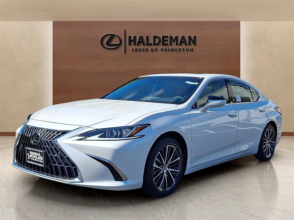 2025 Lexus ES 300h photo 2