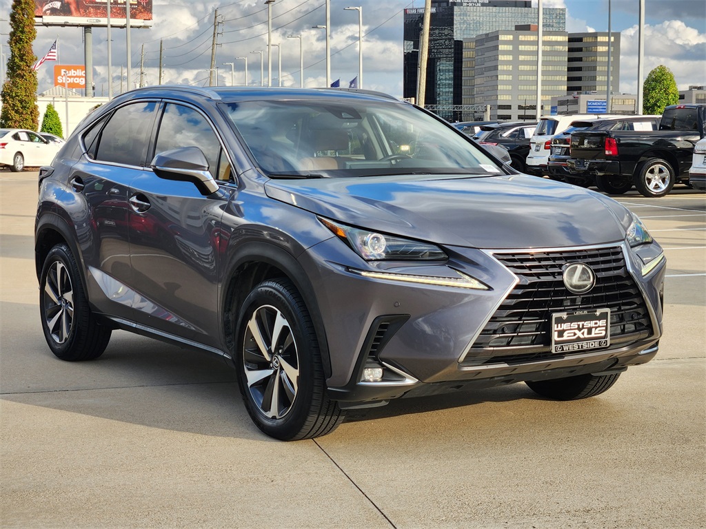 2018 Lexus NX 300 Luxury photo 3